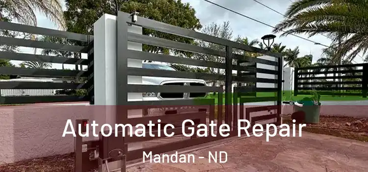  Automatic Gate Repair Mandan - ND