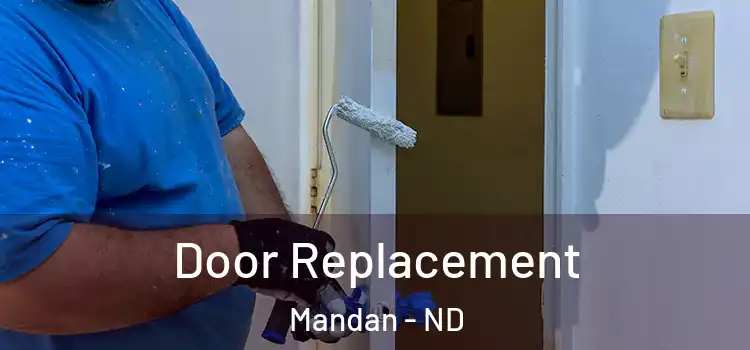 Door Replacement Mandan - ND