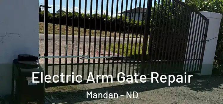 Electric Arm Gate Repair Mandan - ND