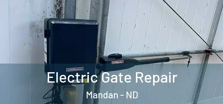  Electric Gate Repair Mandan - ND