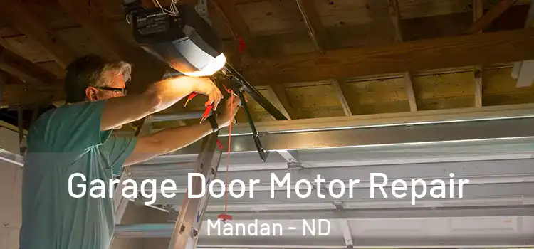  Garage Door Motor Repair Mandan - ND