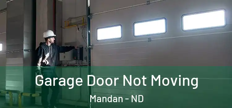  Garage Door Not Moving Mandan - ND