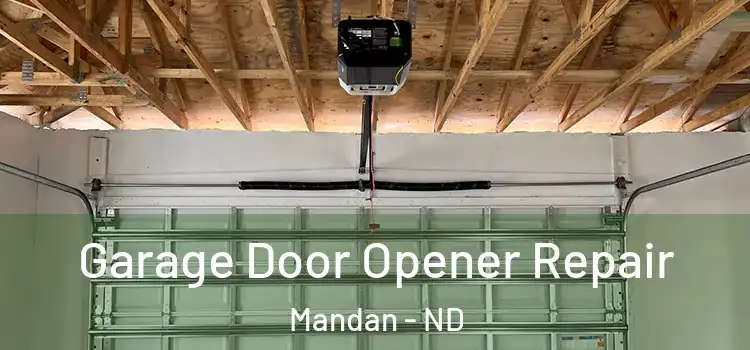  Garage Door Opener Repair Mandan - ND