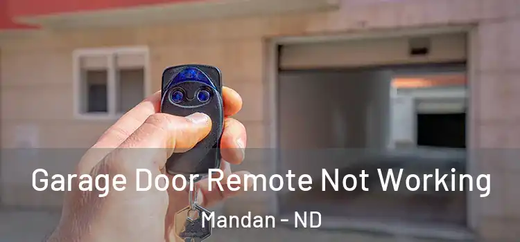  Garage Door Remote Not Working Mandan - ND
