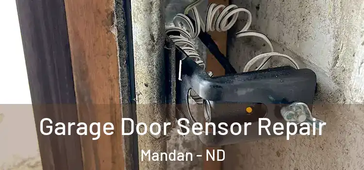 Garage Door Sensor Repair Mandan - ND