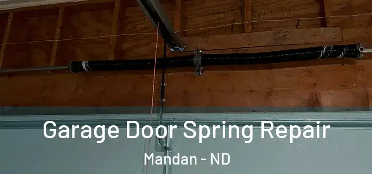  Garage Door Spring Repair Mandan - ND