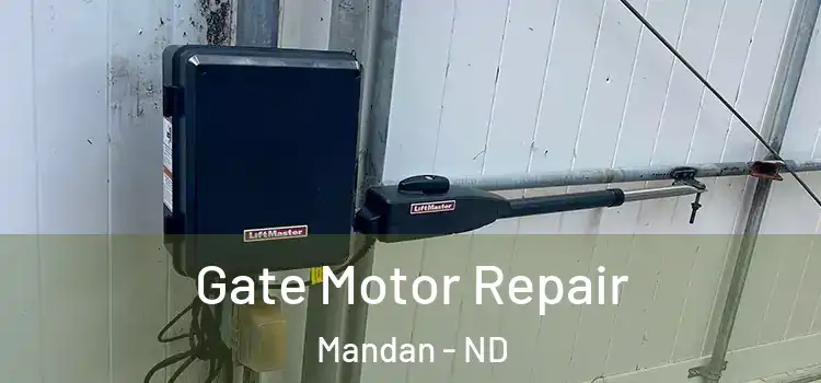 Gate Motor Repair Mandan - ND