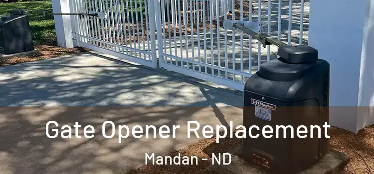  Gate Opener Replacement Mandan - ND