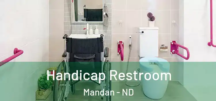 Handicap Restroom Mandan - ND
