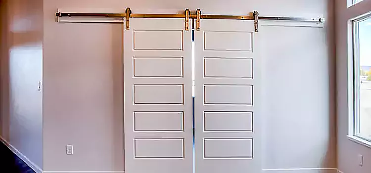 Glass Barn Door with Installation Hardware Kit Mandan
