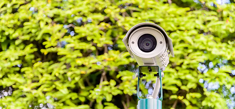 Advanced Surveillance Solutions for Every Need in Mandan