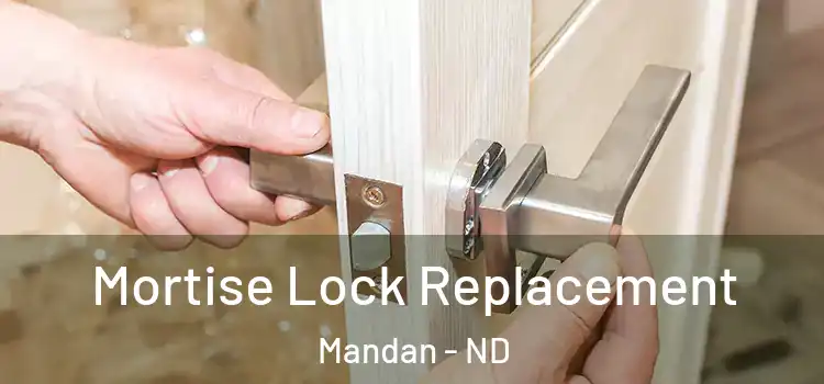  Mortise Lock Replacement Mandan - ND